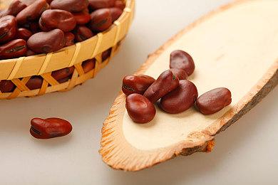 《ALOFT》公布多人联机宣传片 合作沙盒生存